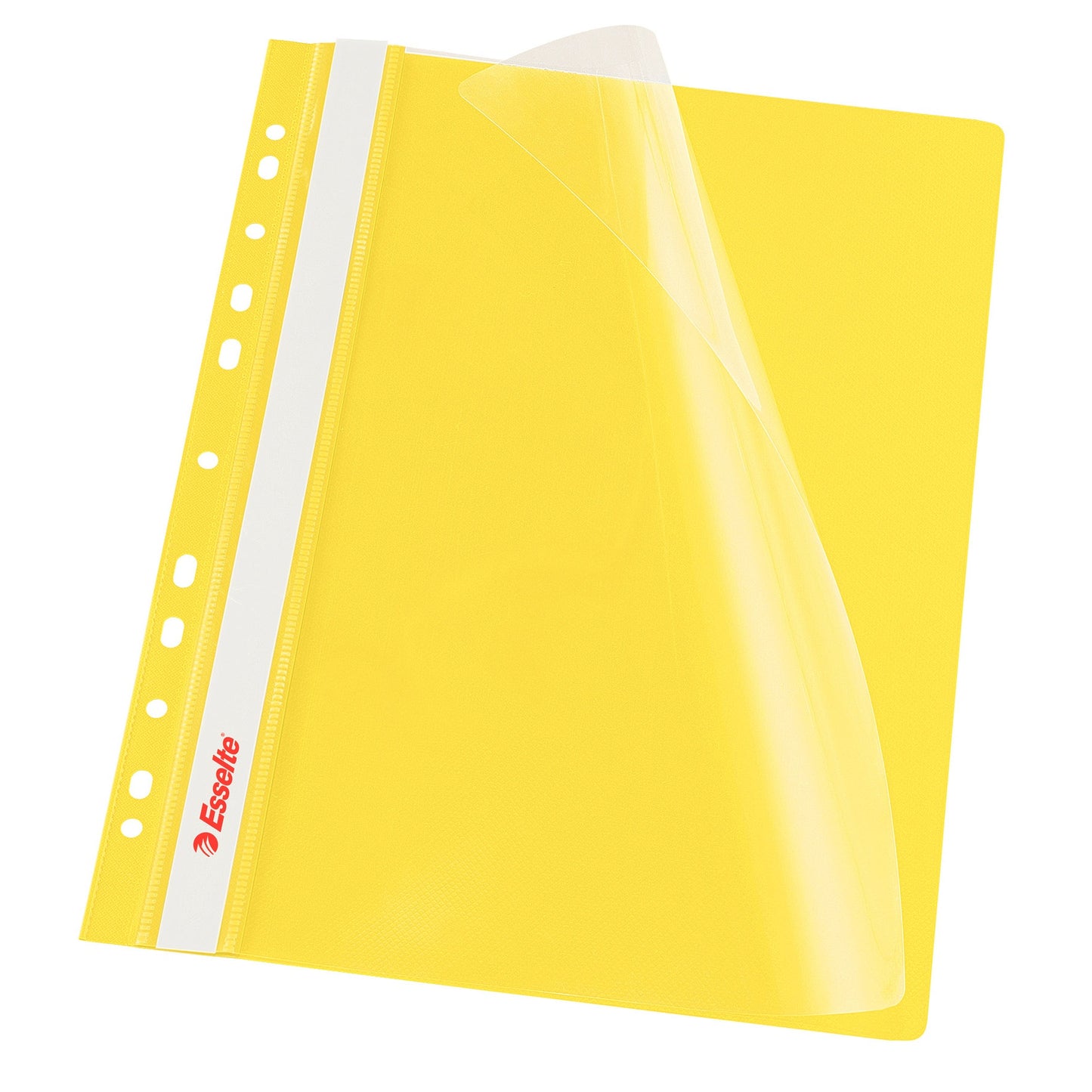 Dosar din plastic, A4, cu sina si multiperforatii, 10 buc/set - Esselte VIVIDA