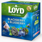 Ceai, pliculete piramidale, 20 plicuri, 40g - Loyd