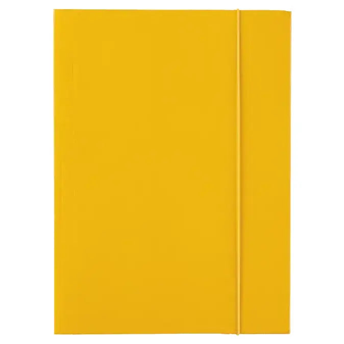 Mapa din carton, cu elastic A4 - Esselte Economy