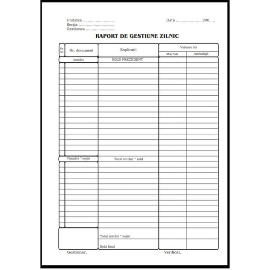 Raport de gestiune zilnic - A4